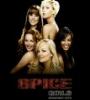 Zamob Spice Girls - Greatest Hits (2008)